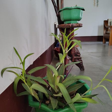 Gayatri Homestay Dibrugarh Buitenkant foto