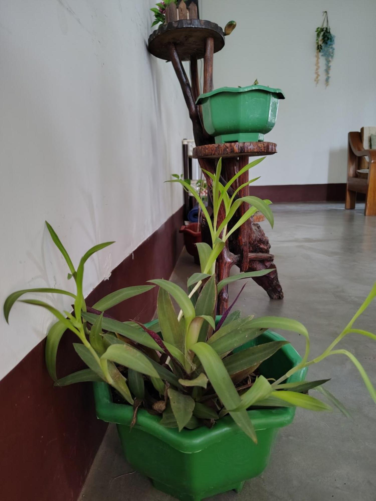 Gayatri Homestay Dibrugarh Buitenkant foto